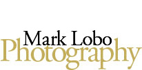 Brisbane Photographer - Mark Lobo Photography
